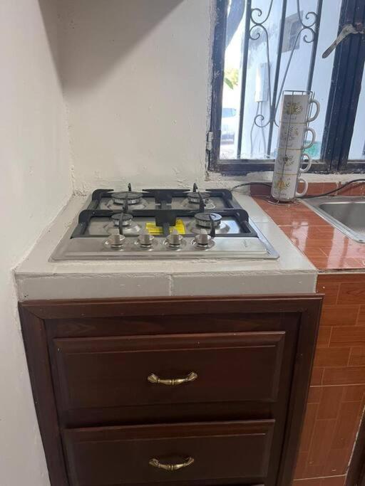 Flores Condominios Depa Rosa Álamos エクステリア 写真